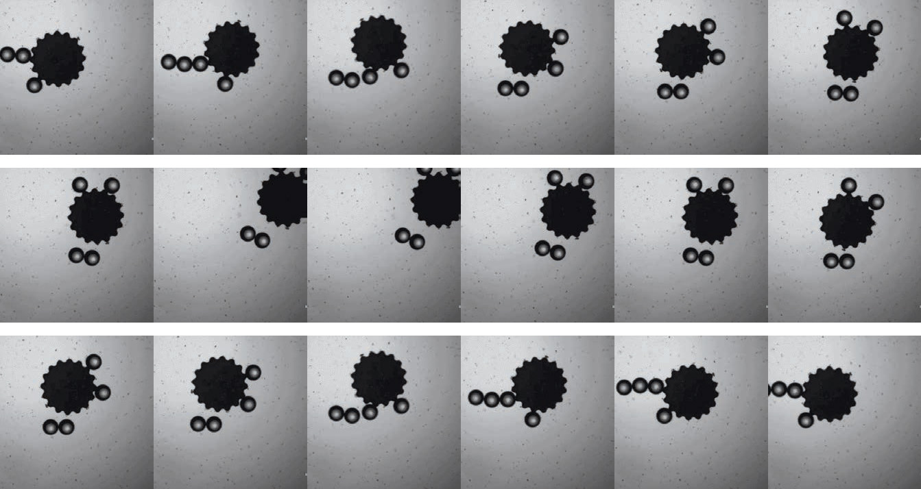 Kate Stebe lab's microrobots in an array demonstrating their movement.