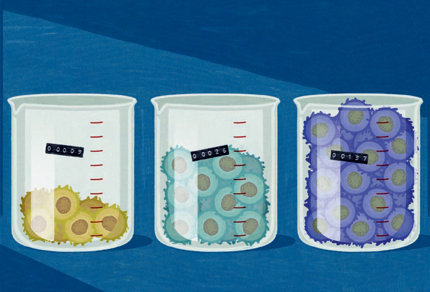 Illustration for Jenny Jiang story on an inventory of immunity.